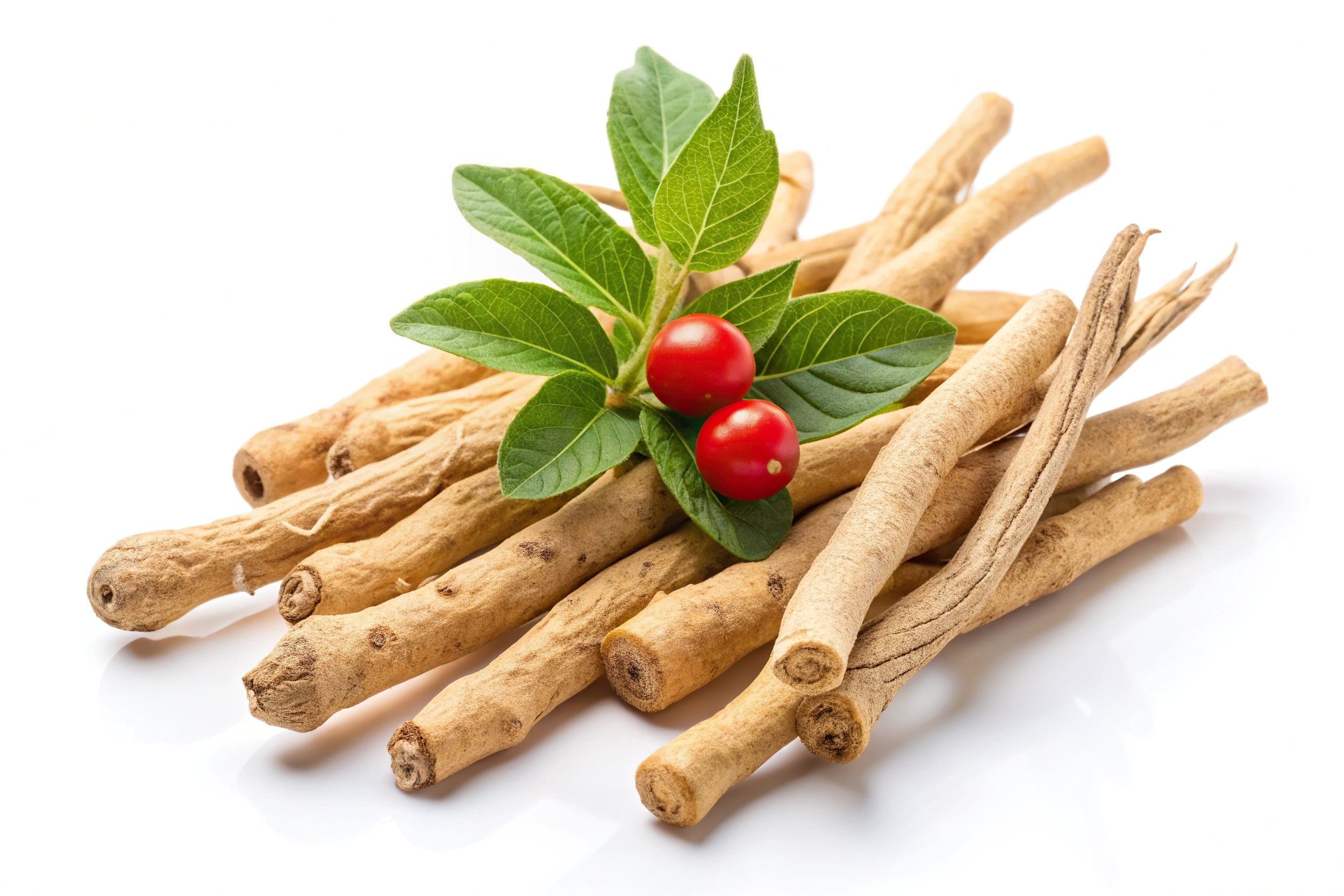 Parts of the ashwagandha plant: root, leaf, and red fruits
