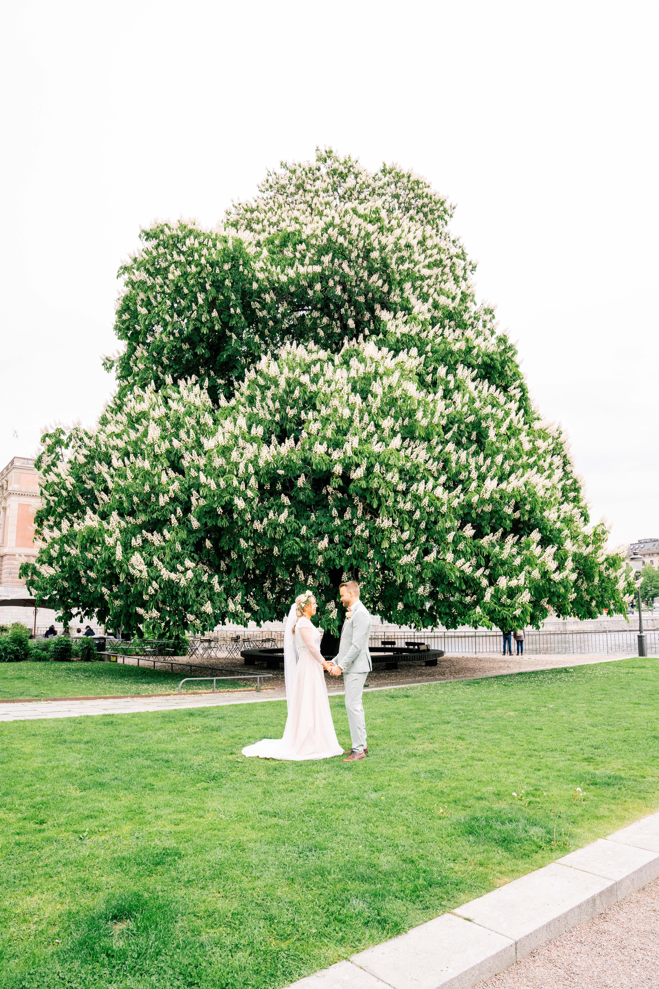 Bröllop, bröllopsfoto, bröllopsfotograf, bröllopspar, bröllopsfest, brud, brudgum, bröllopsceremoni, bröllopsfoto, slott, bröllopsfotograf, bröllopsfest, wedding, wedding photo, wedding photographer, party, wedding couple, bride, groom, party, weddin