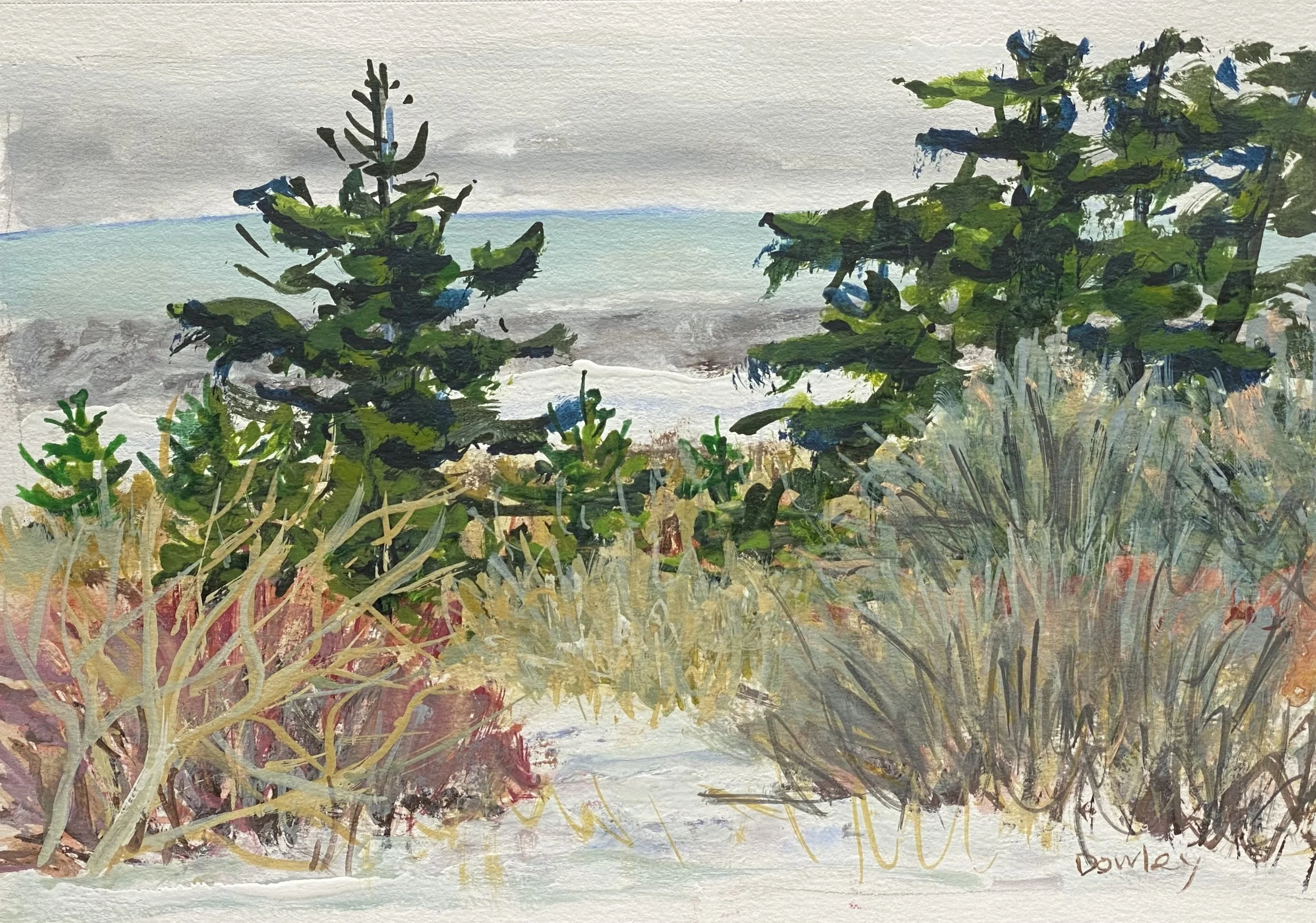 View from Window, Gand Manan, 6x9