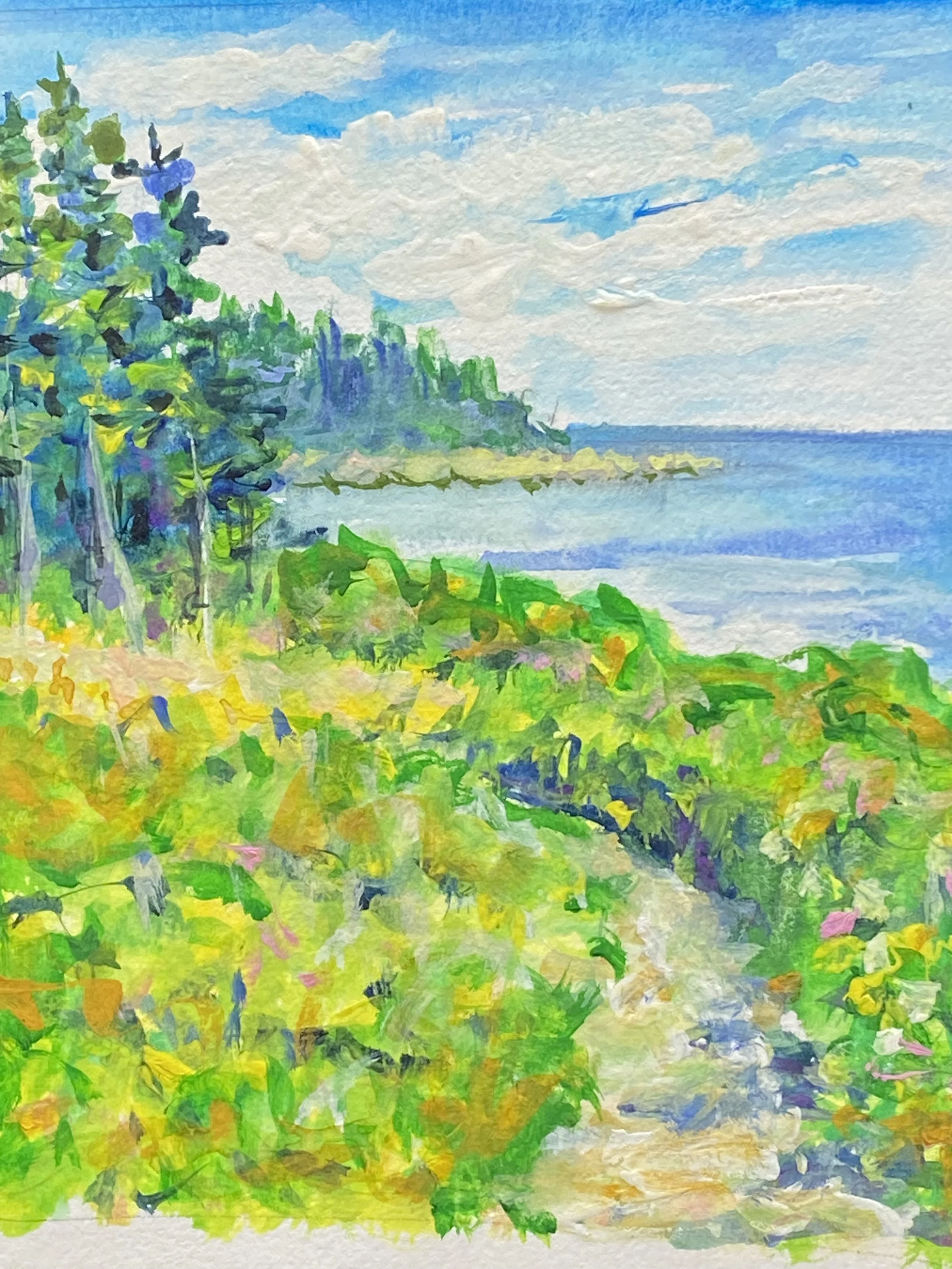 Trail to Thunder Gulch, 6x5.25