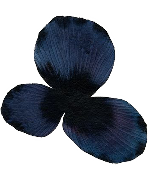 Decoration leaves