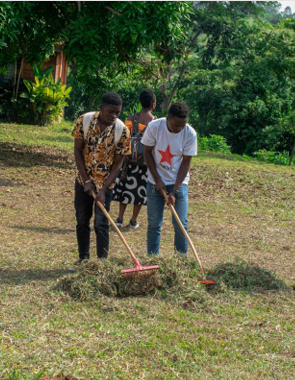 Two young men use rakes to gather cut grass into small piles on a grassy field.