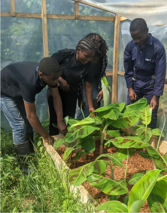 A group of yound people in a greenhouse tending plants