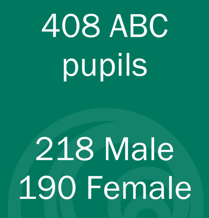Statistics text displaying the number of pupils, 408 ABC, and gender counts, 218 male and 190 female on a green background with a circular pattern