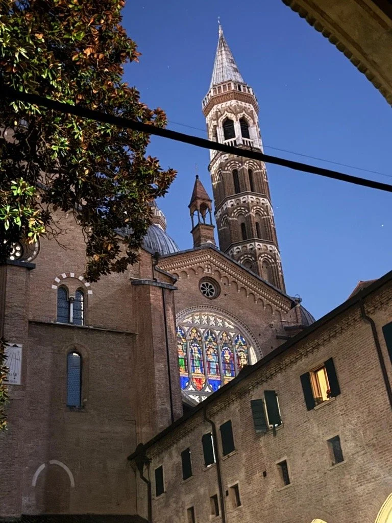 Giornata per la Vita 2026: custodire, accompagnare, servire la Vita