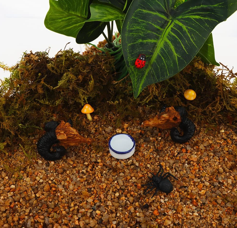 The Ultimate Guide to Feeding Your Jumping Spider — Jumping Spider Care