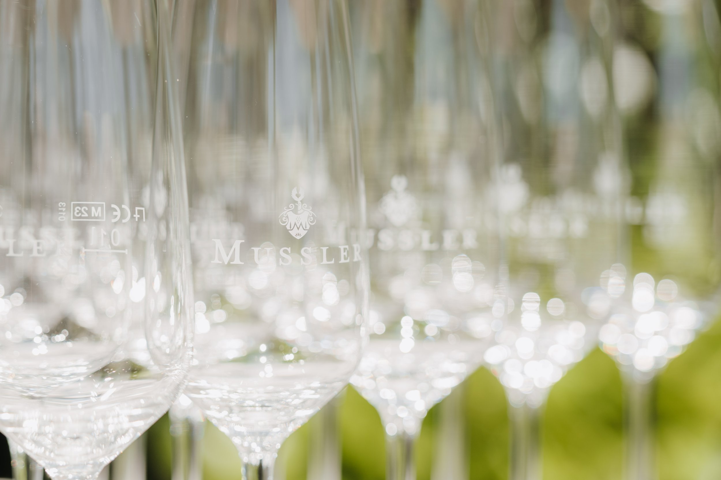 11 - hochzeit_weingut_mussler_jf_elenapetersfotografie (23 von 952).jpg