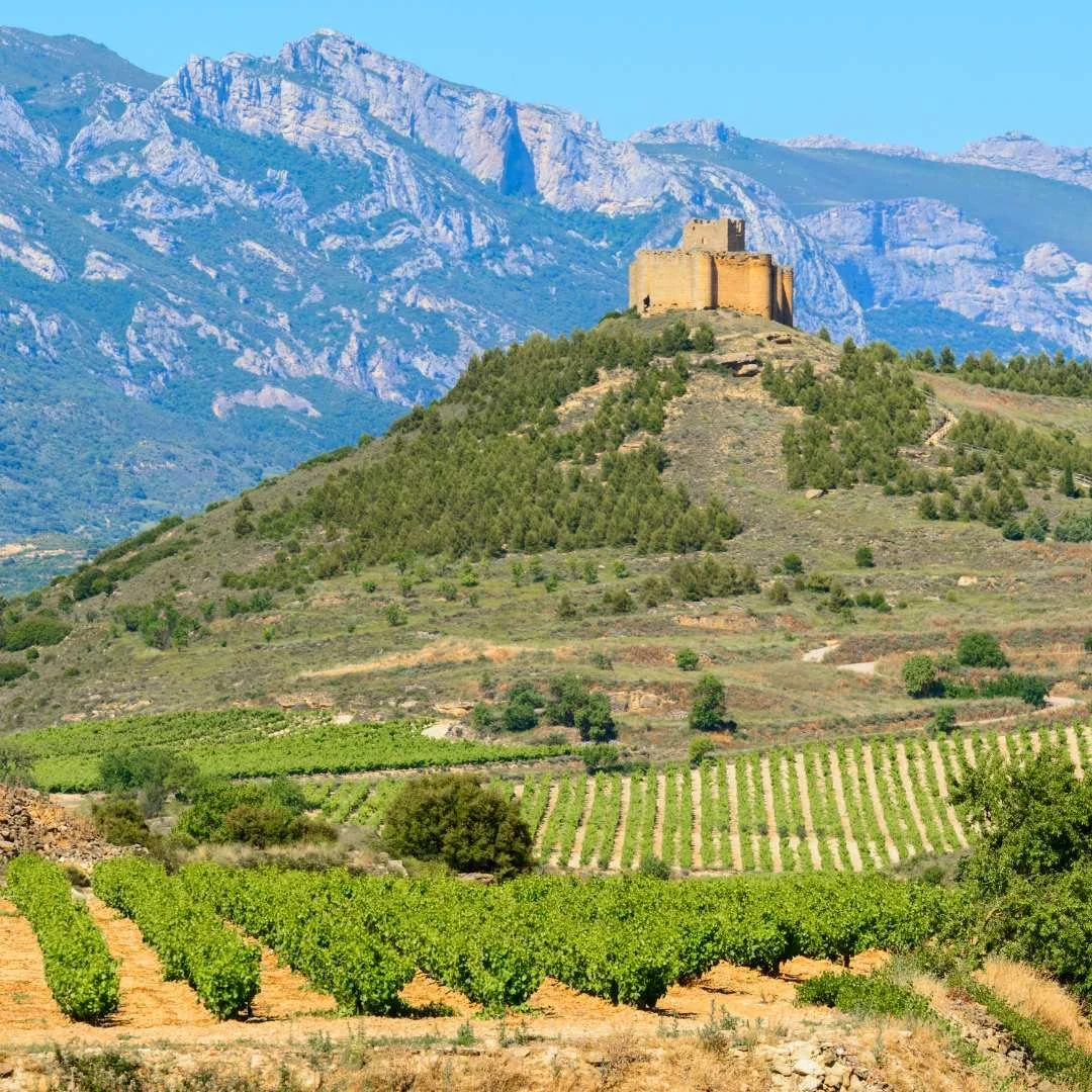 The hills of La Rioja, lined with vineyards and a castle at the top