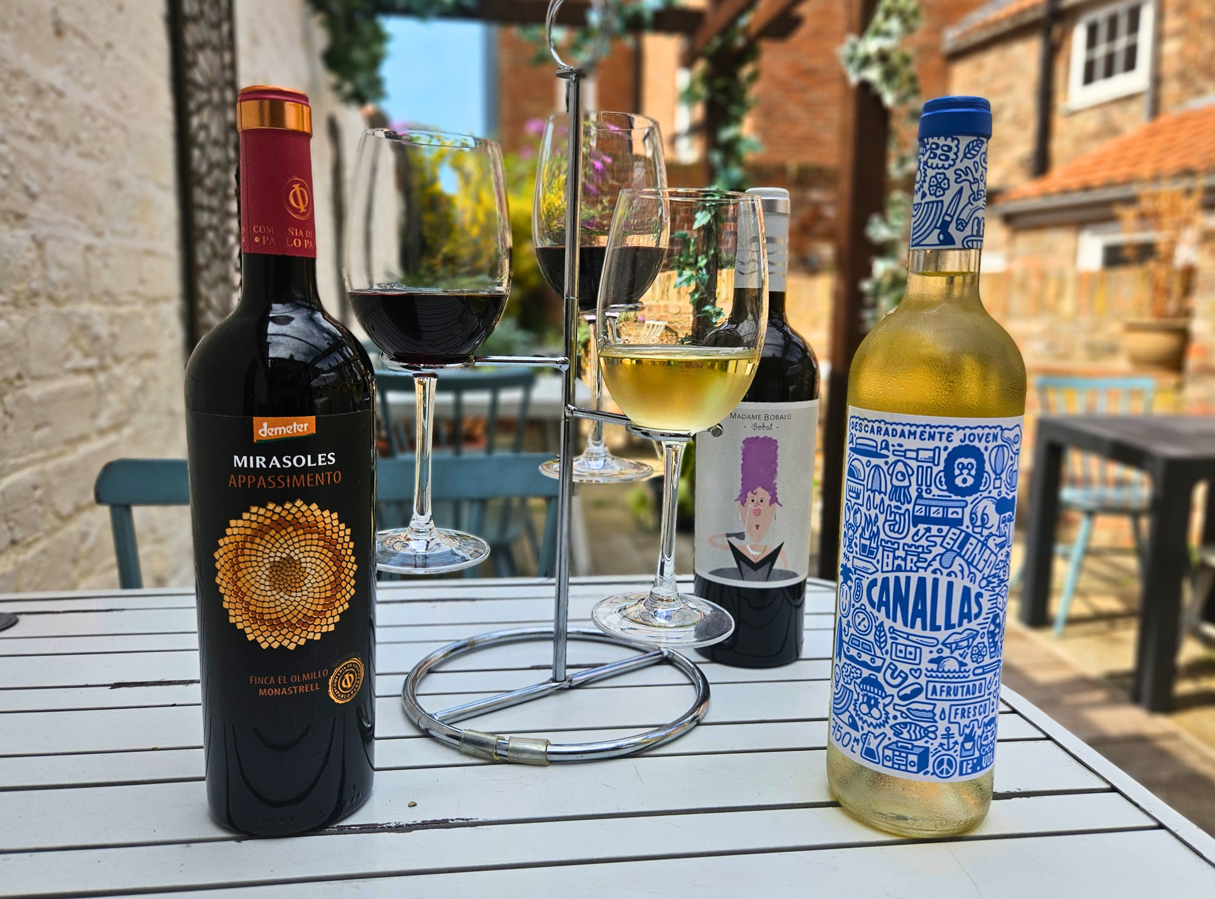 Discovering the Wines of Valencia