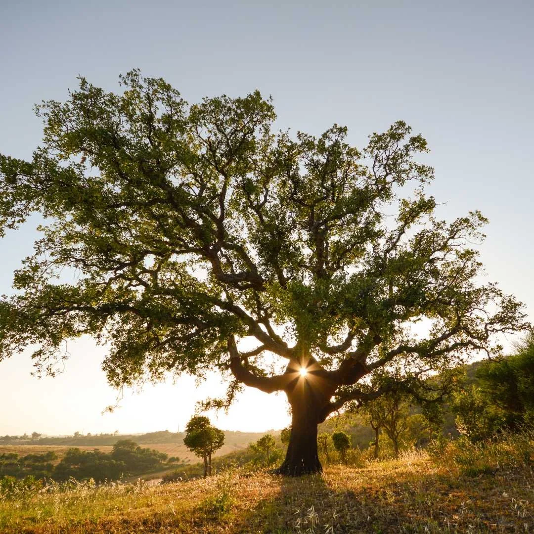 Why Extremadura probably isn’t on your radar