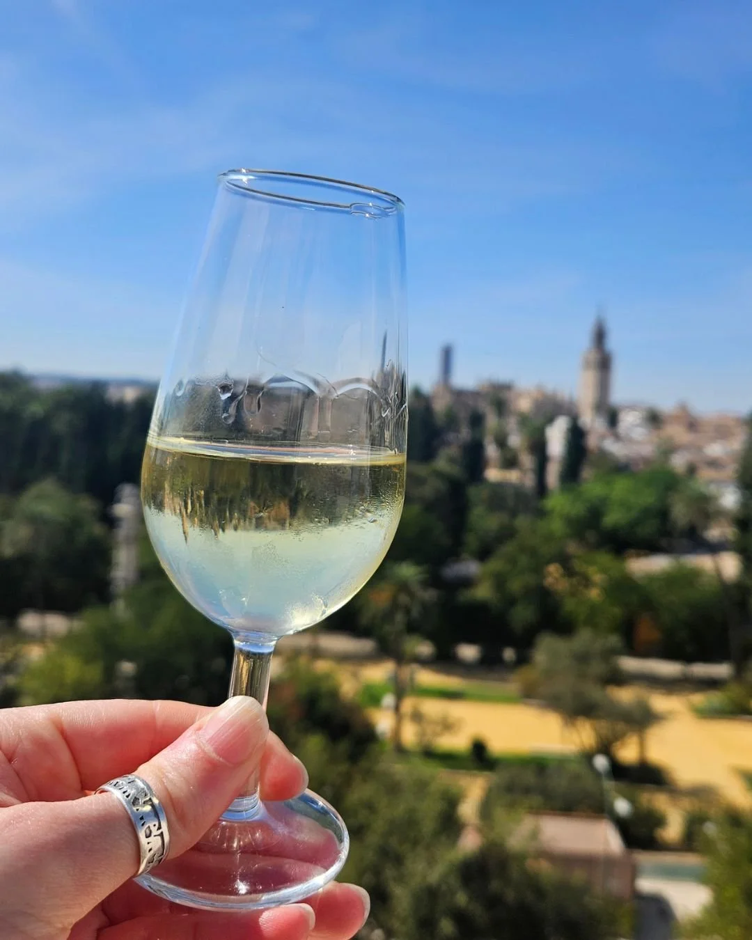 Small glass of sherry in front of scenic Spain