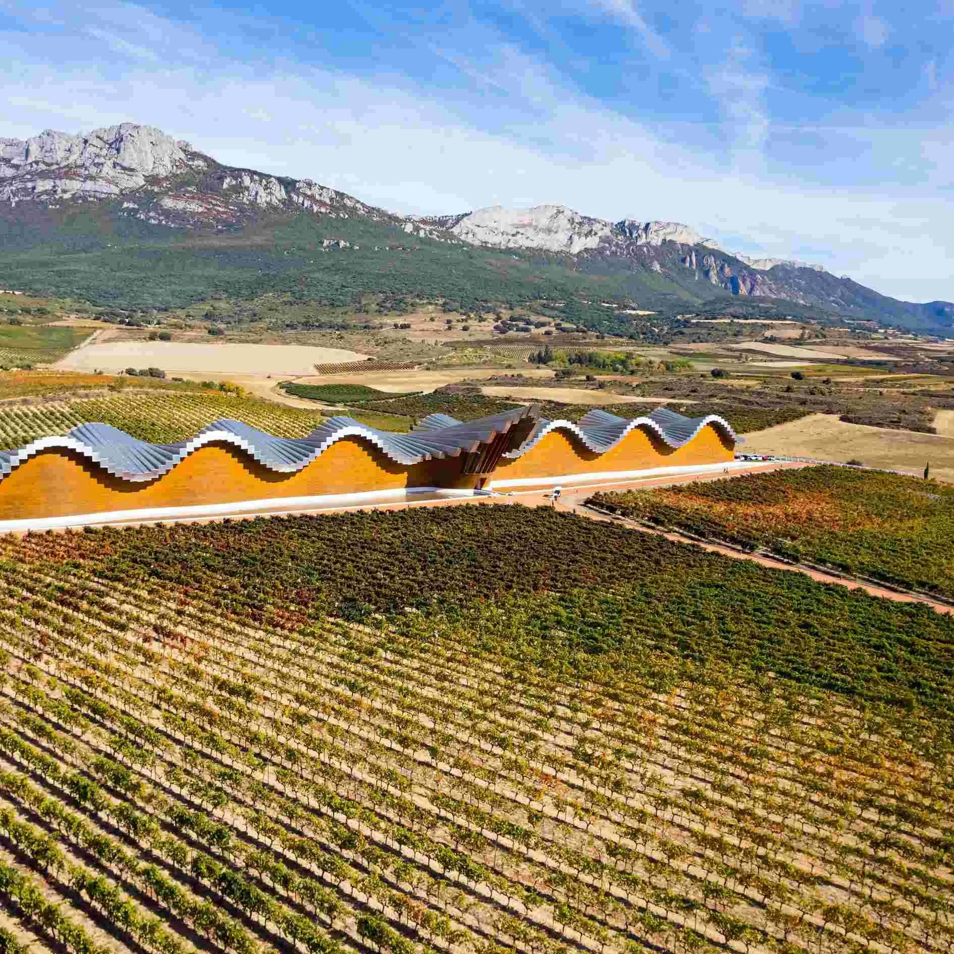 Bodegas Ysios in the mountains of La rioja