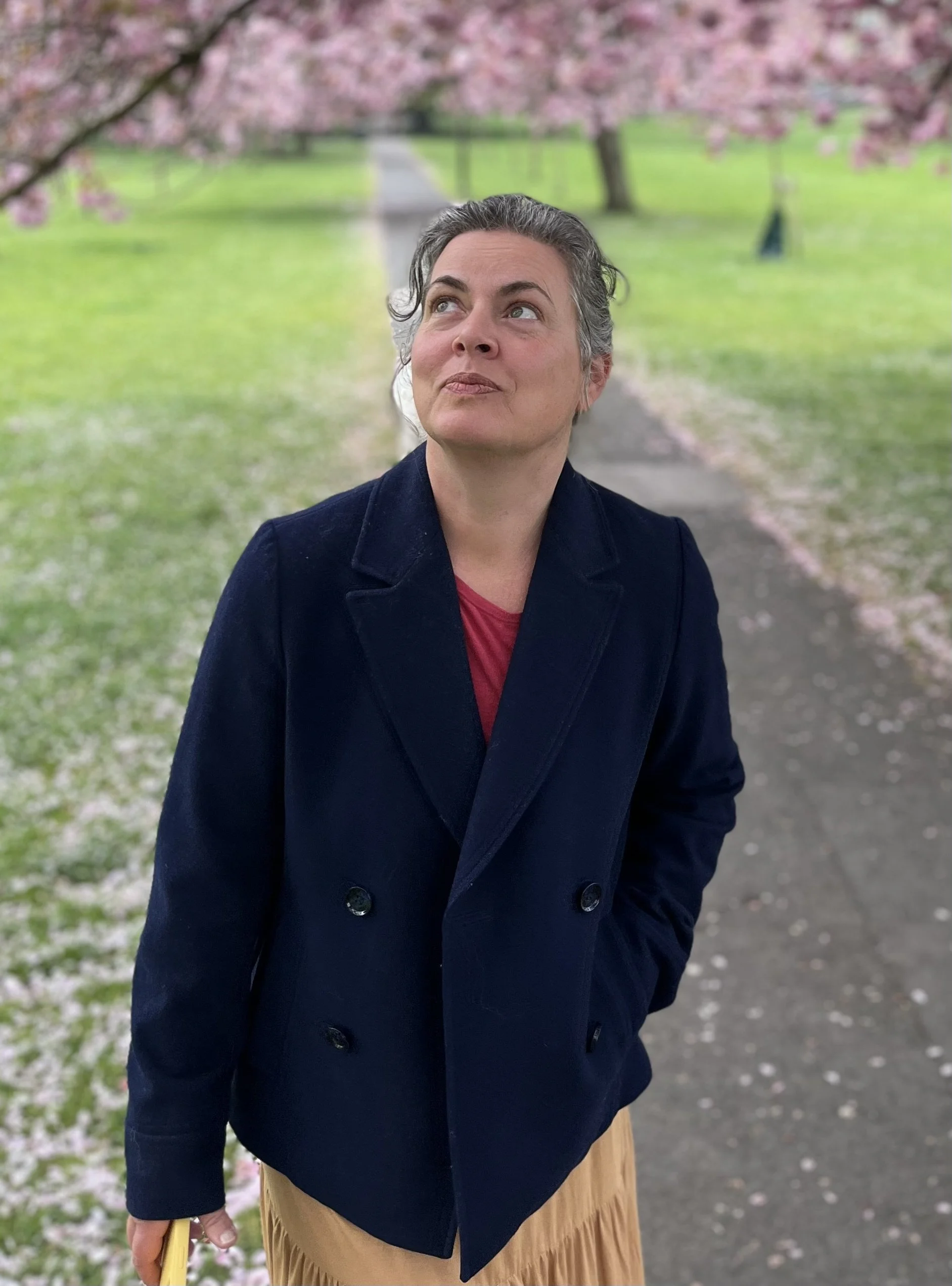 Why Your New Colours mean Harmony 