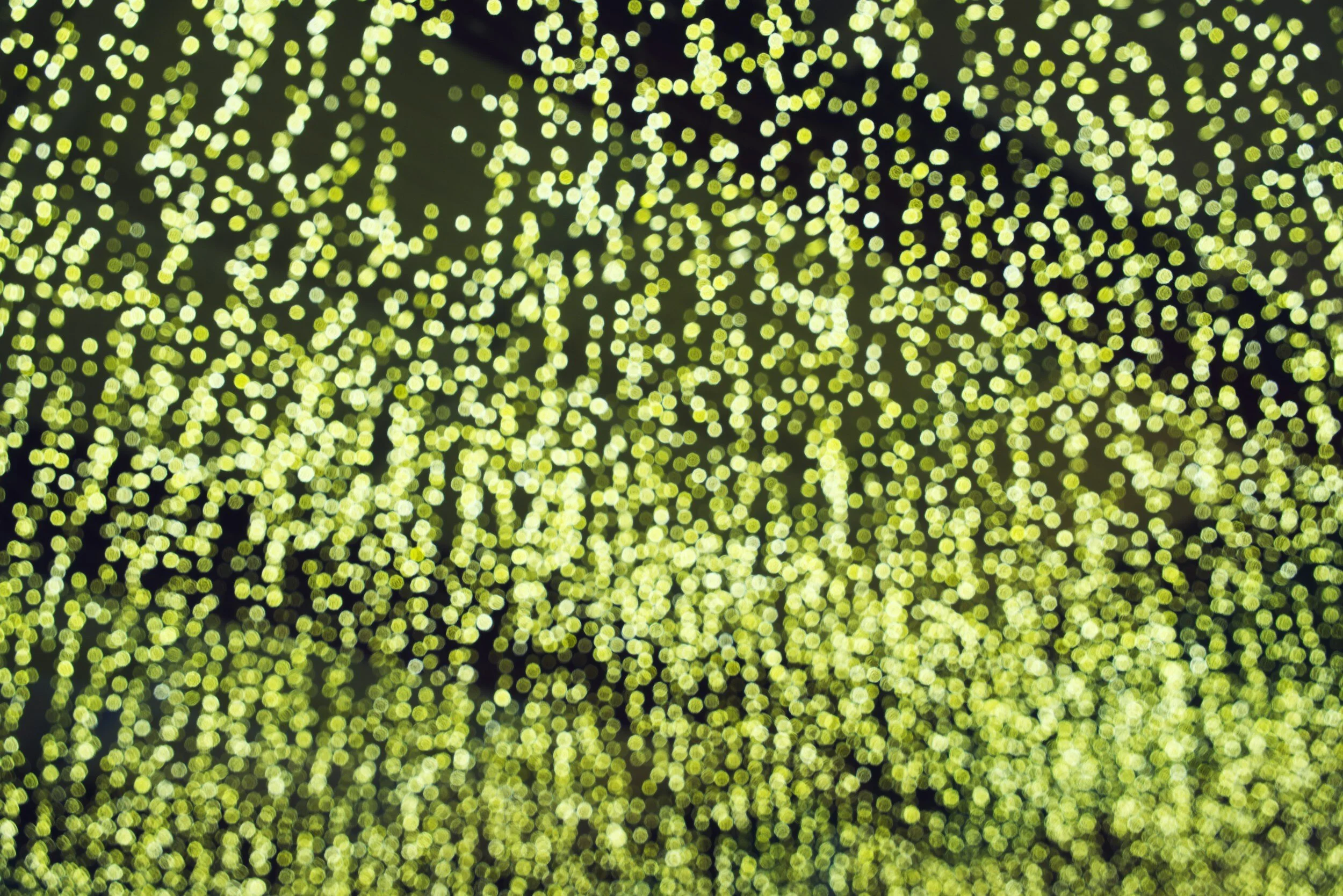 Close-up of blurry yellow-green bokeh lights against a dark background.