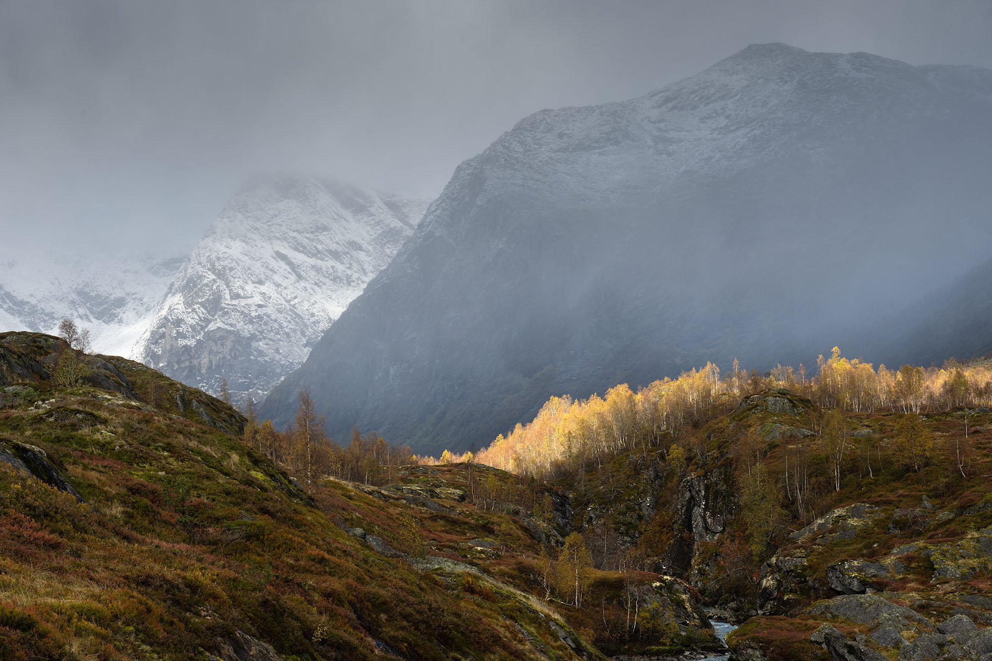 Mountain landscape with snow-capped peaks, foggy sky, and autumn trees and rocks in the foreground.