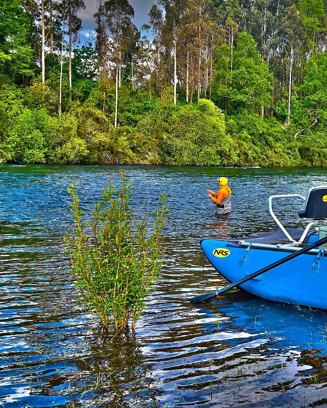 Desconectarse hace bien. 
Pescar, buena comida, camaradería y un alto en el camino para disfrutar de los tantos rincones de nuestros ríos en este inicio de temporada de pesca con mosca 2025-2026. 
Escríbenos al DM para agendar