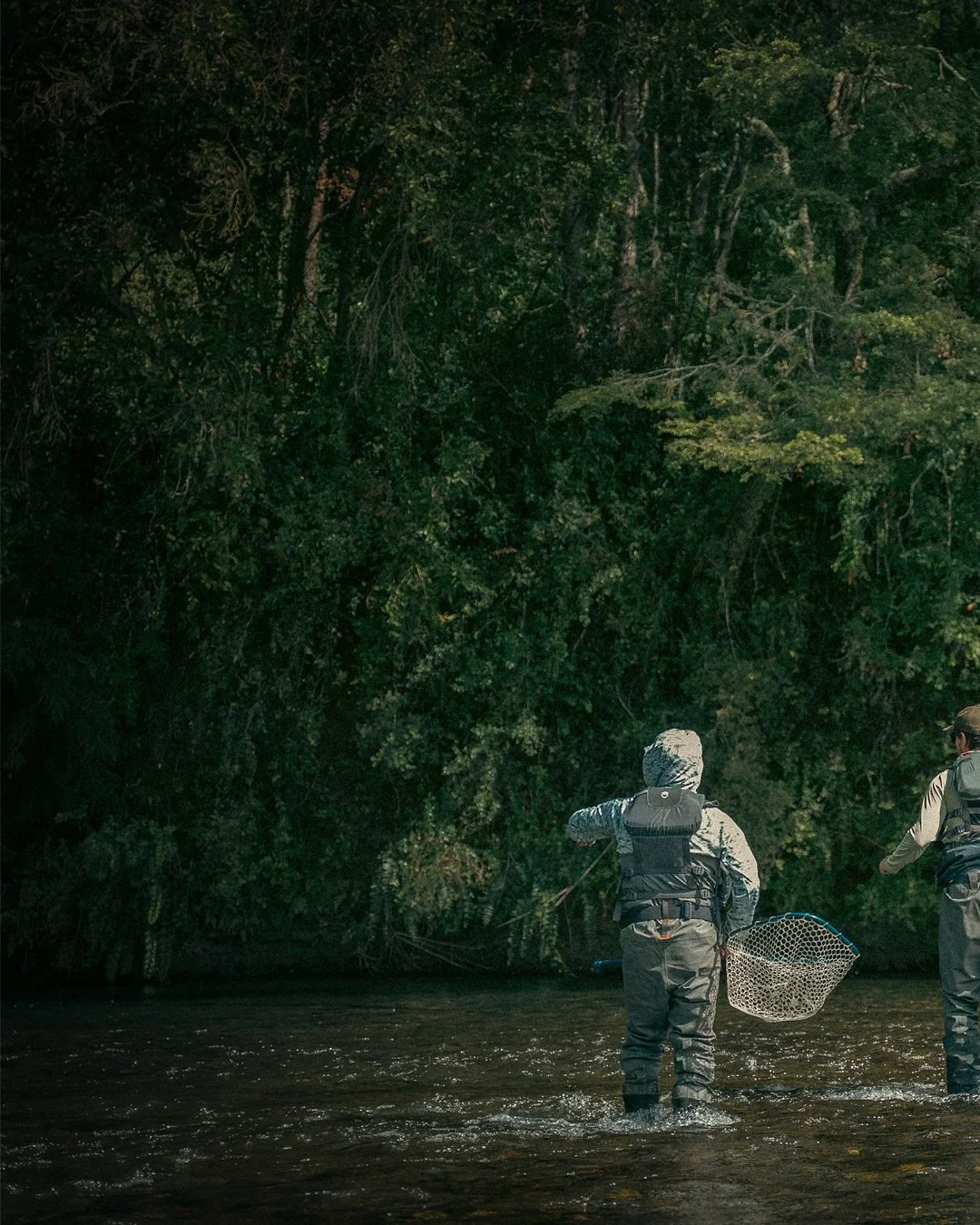 La búsqueda de las marrones salvajes nos lleva a menudo a espacios prístinos y poco visitados, muchos rincones del río nos ofrecen la oportunidad de anclarnos y vadear. Toma paciencia muchas veces, pero al final del día si