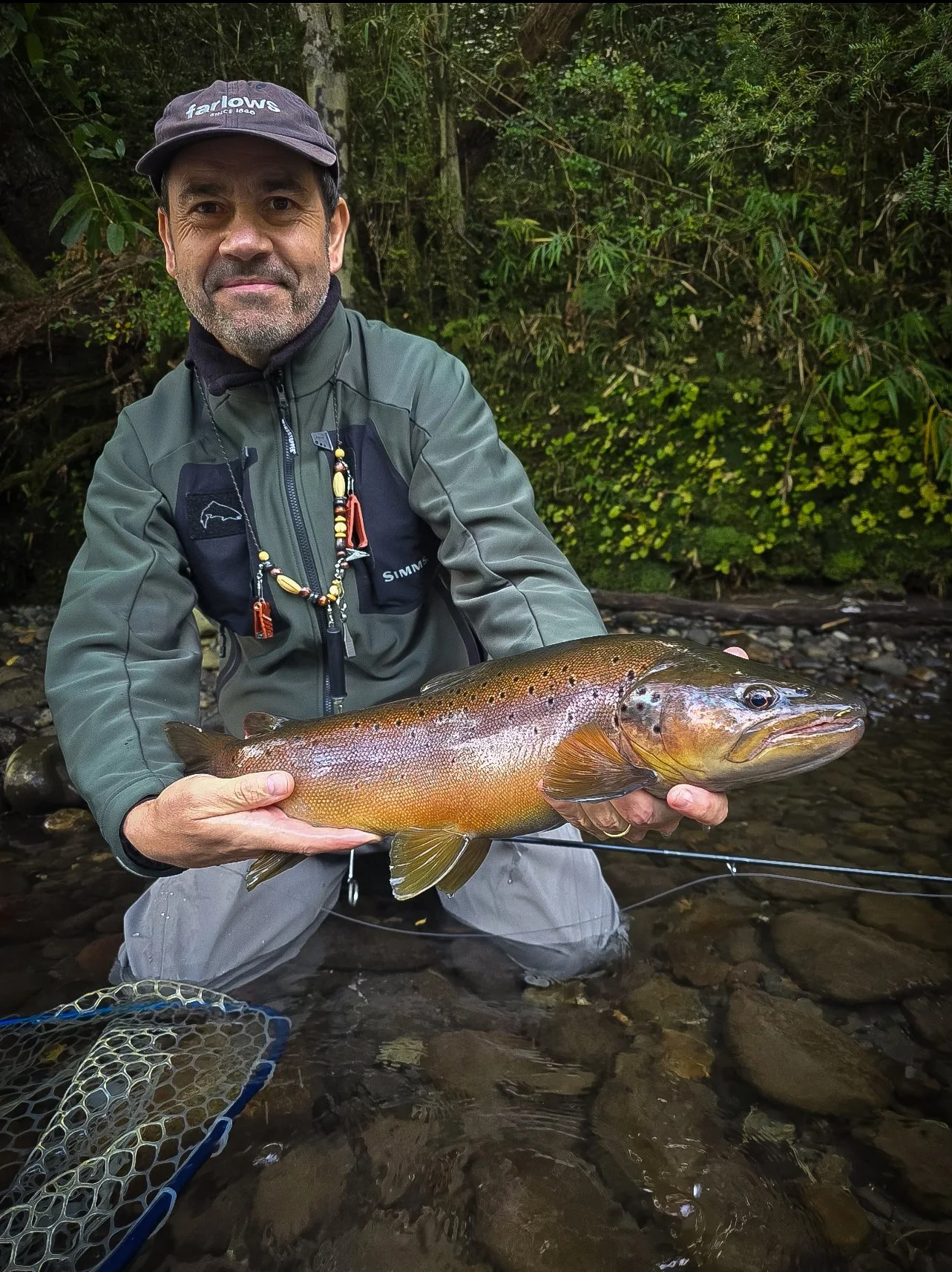 wild brown trout in patagonia