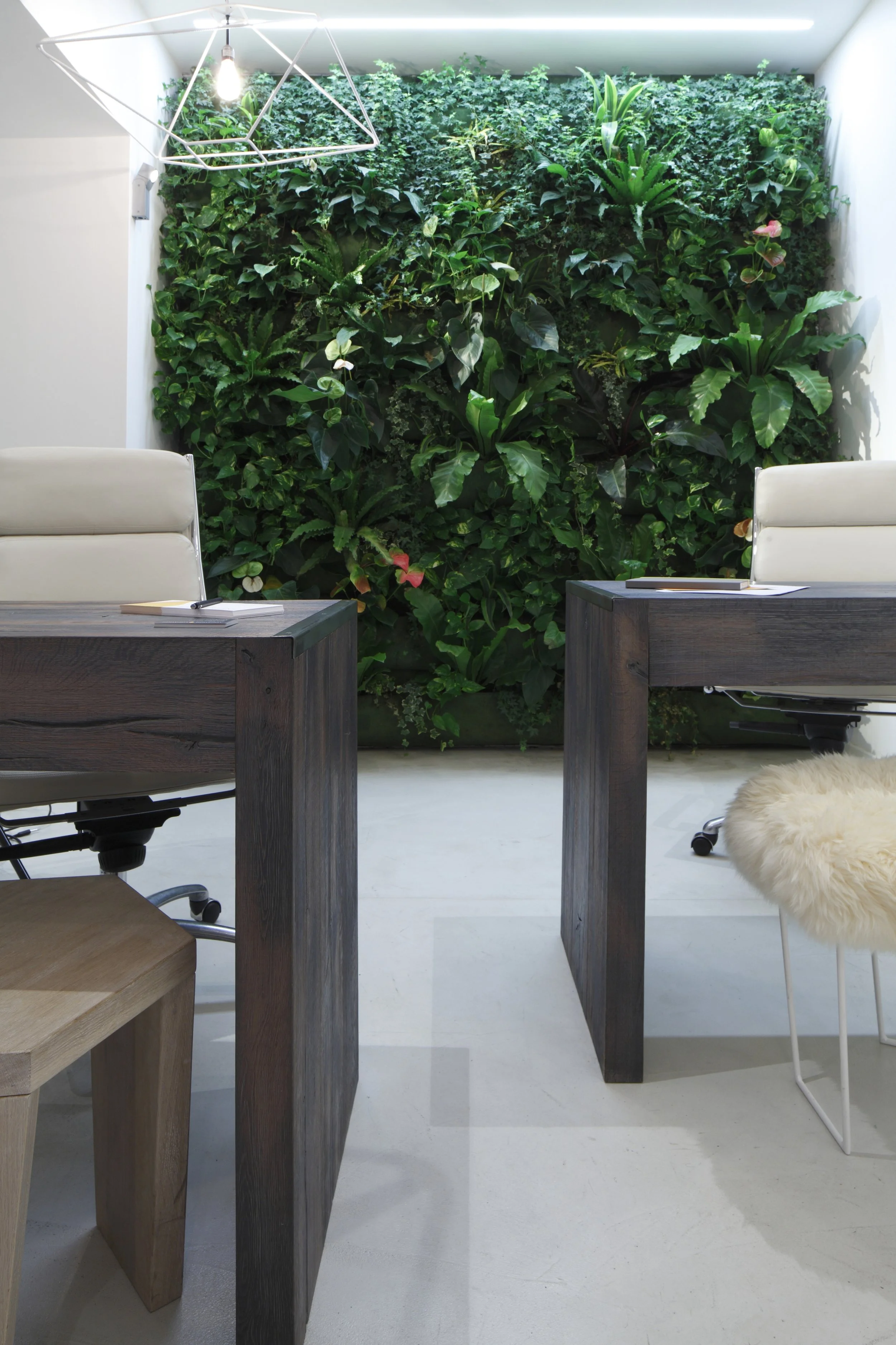 Office living wall detail I estate agency I London