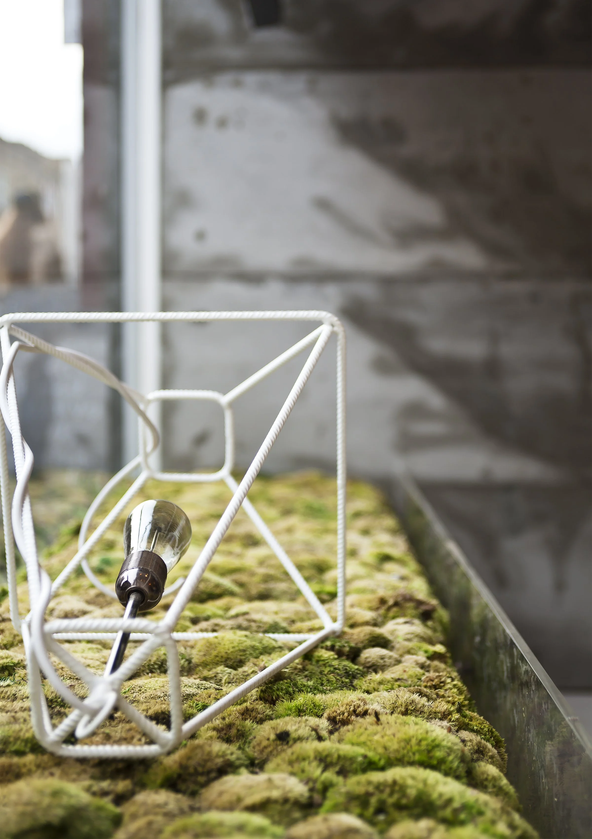 Reception area of a transformed estate agency showcasing confidence and style