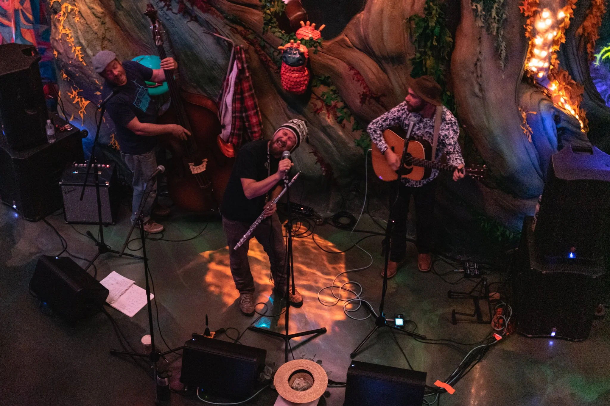 Bear Hat - Meow Wolf-02.jpg