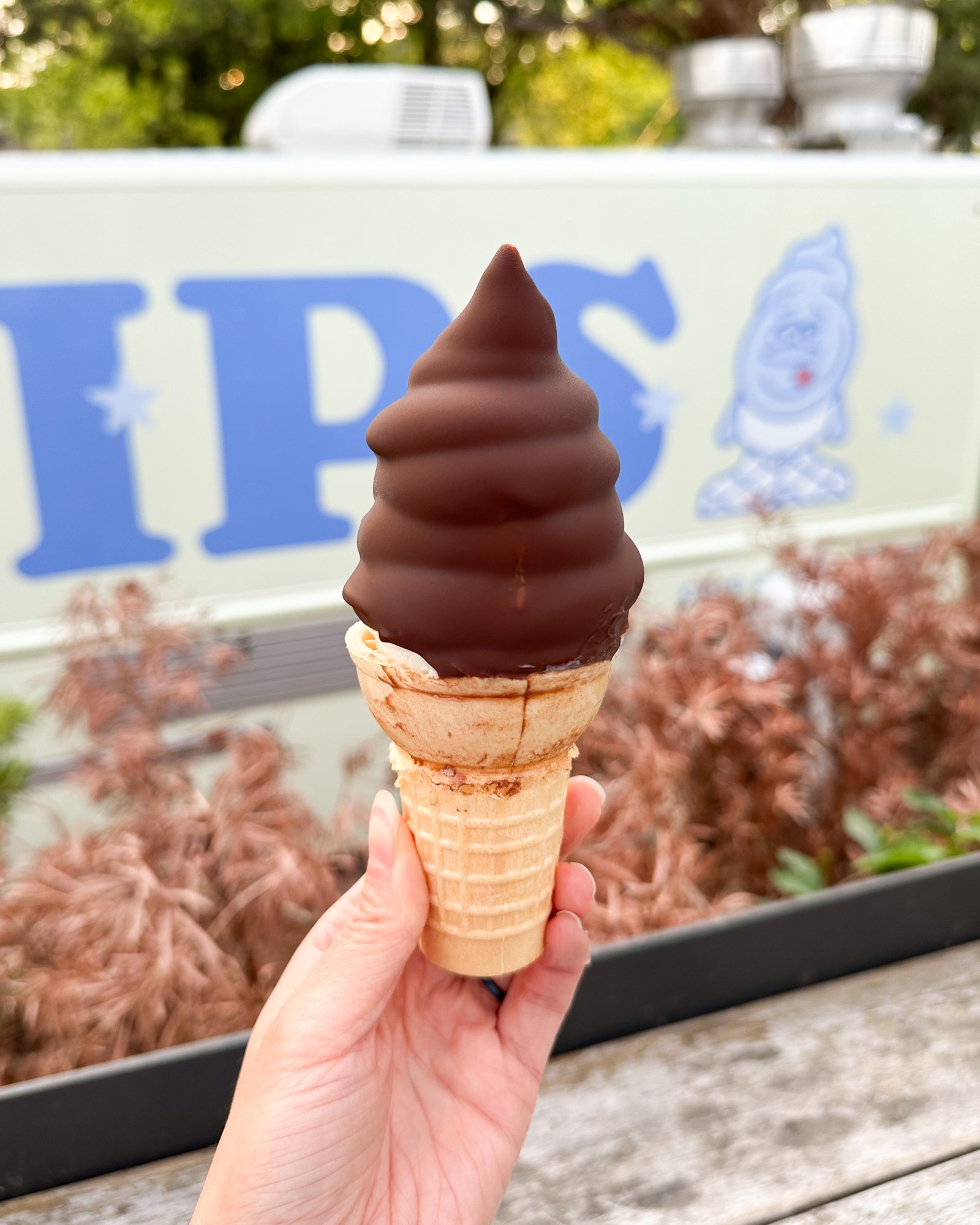 Dipped Vanilla Soft Serve at Bill’s Dips