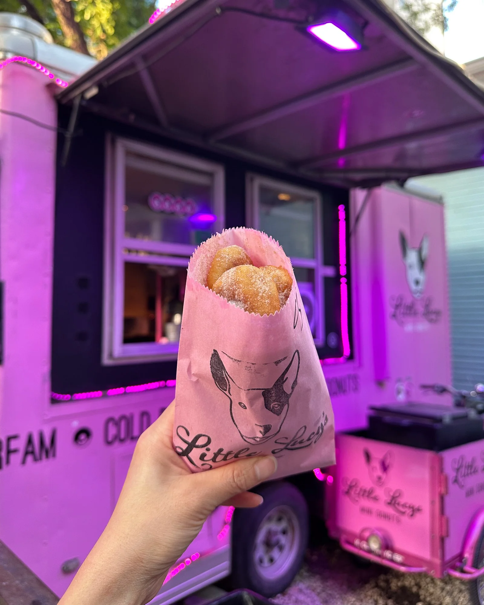 Cinnamon Sugar Donuts at Little Lucy’s Donuts