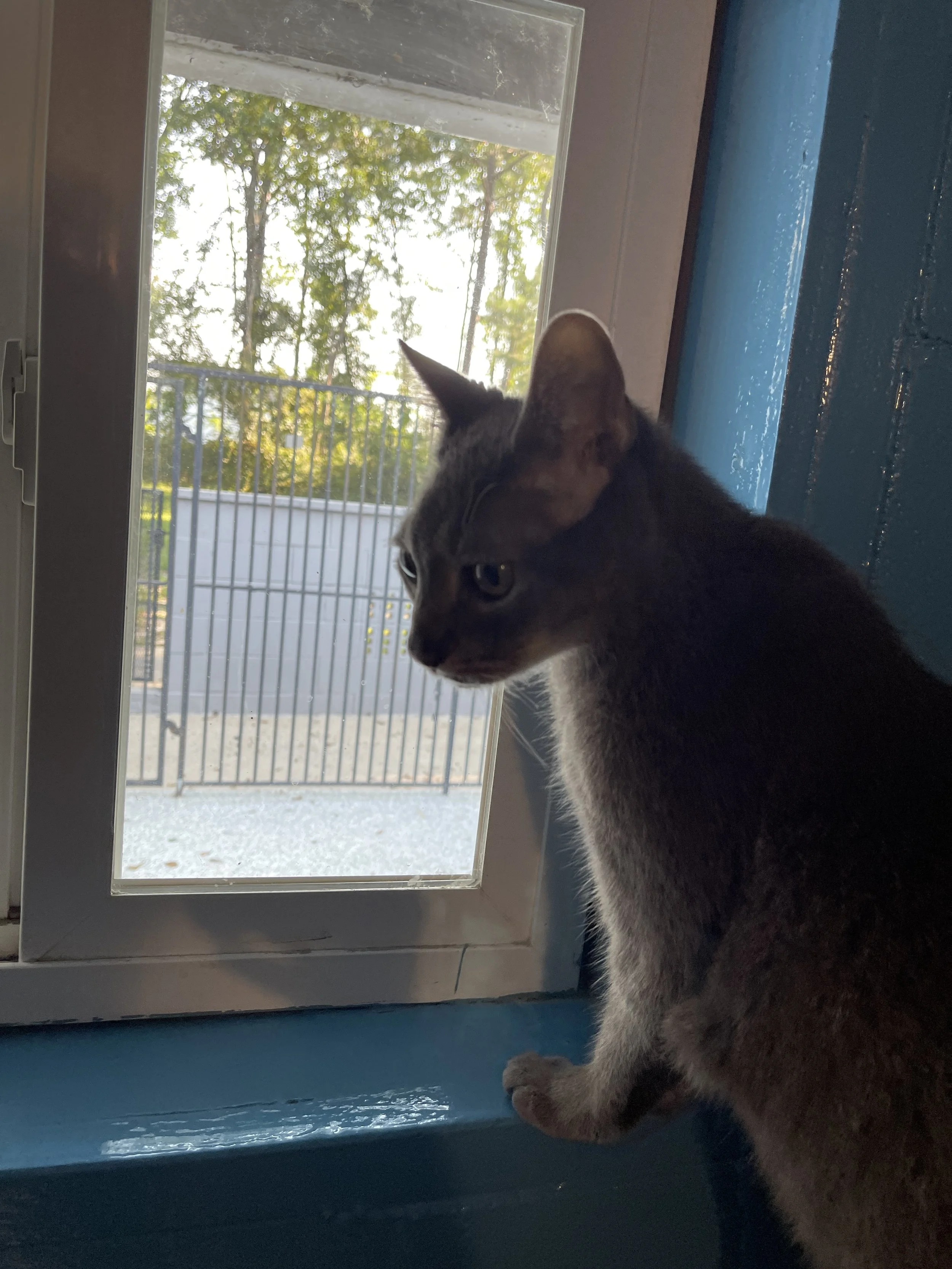 image2.jpeg