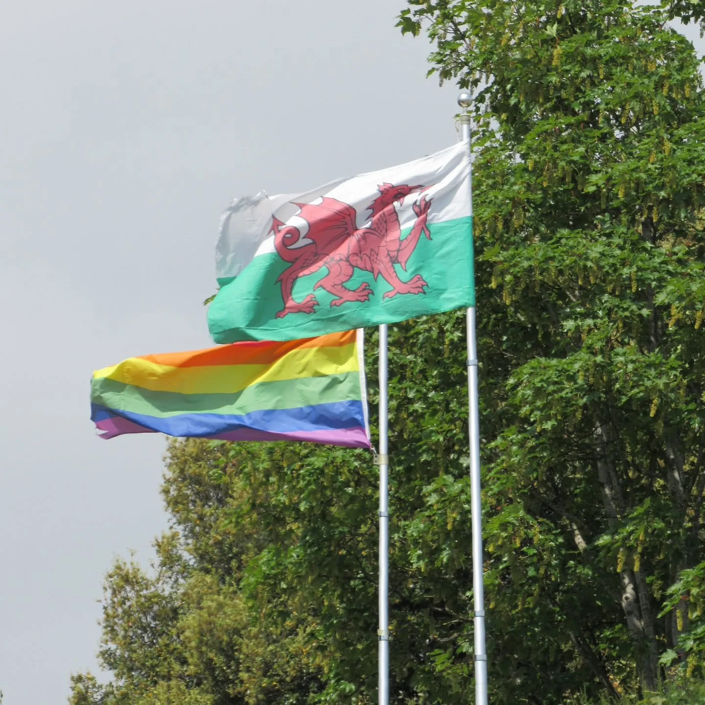 If you're a queer person in Herefordshire feeling isolated or lonely, I would strongly recommend attending a @queersnbeershfd event! 

I've gone on my own twice now and everyone is so friendly and welcoming. I promise you won't be awkwardly stood in 