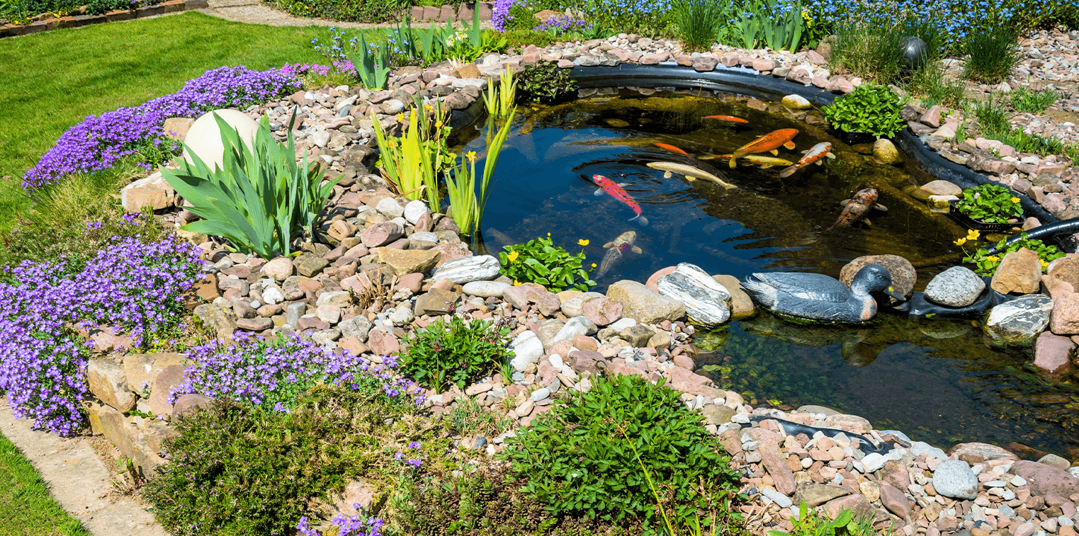 Living-Color-Garden-Center-Water-features-for-a-peaceful-backyard-koi-pond-in-backyard.png