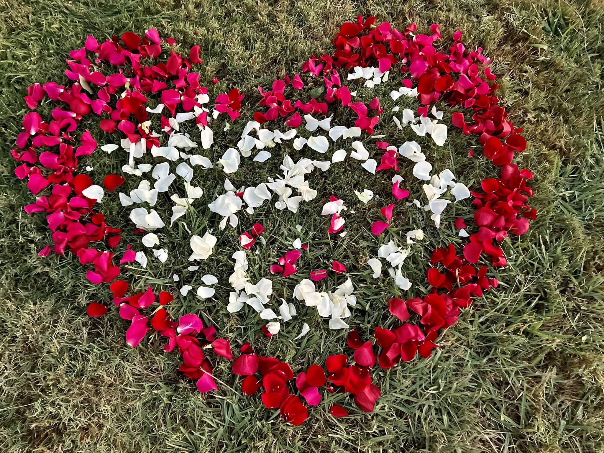 Rose-petal heart