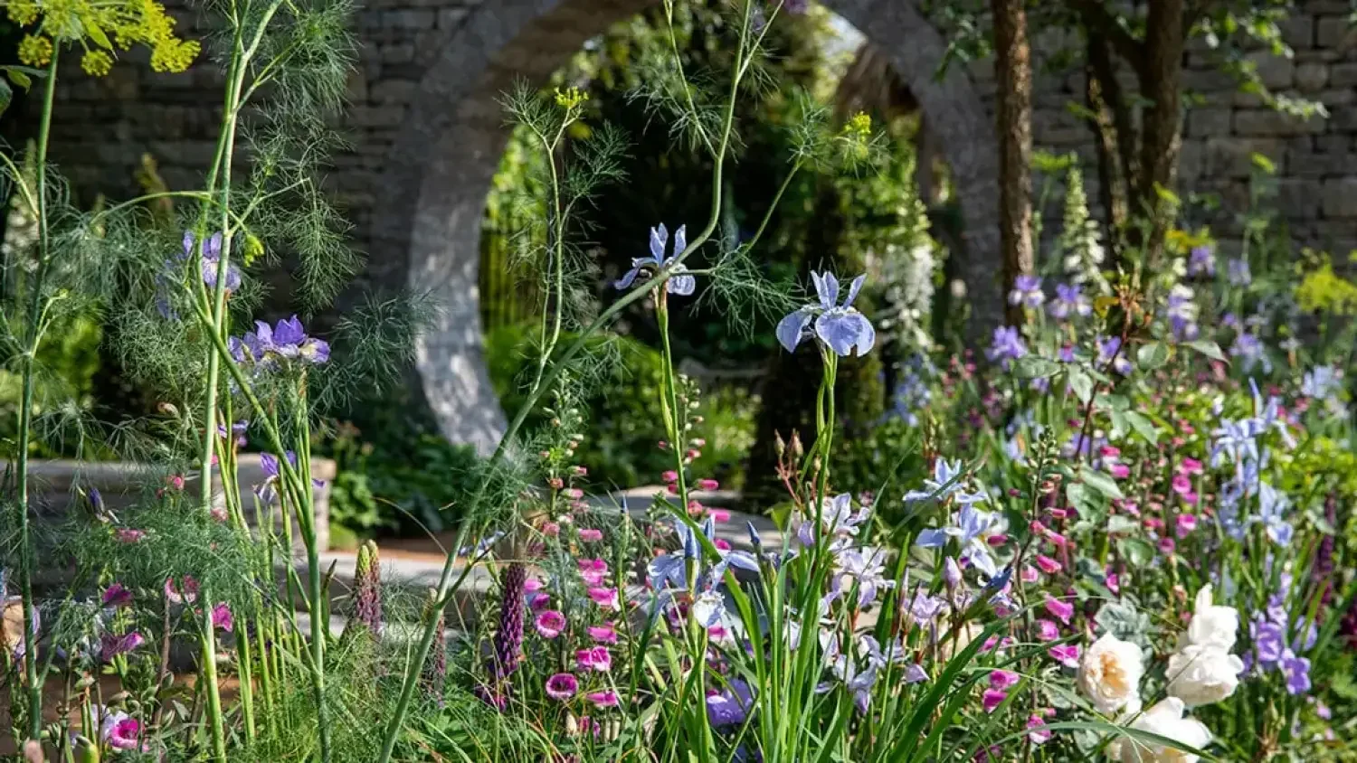 The full bloom border comprised of irises, digitalis, roses, lupins and geraniums.
