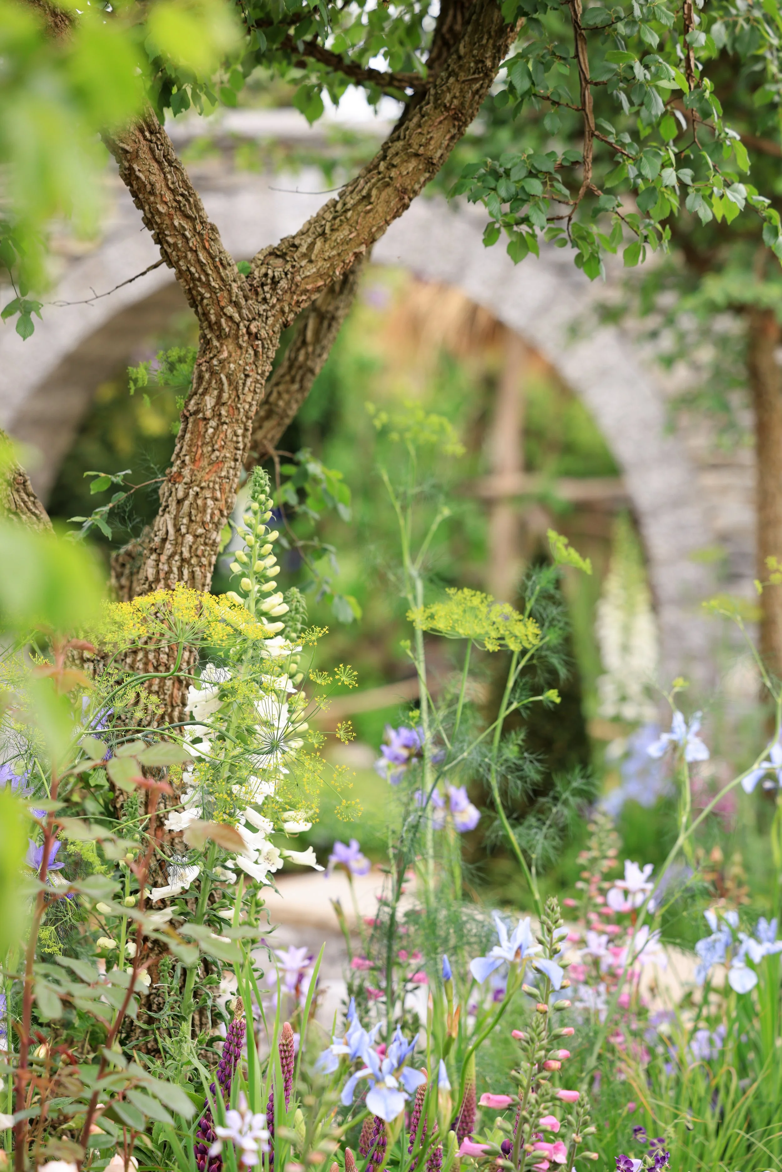 Romantic planting representing Penelope Featherington stepping into the light.
