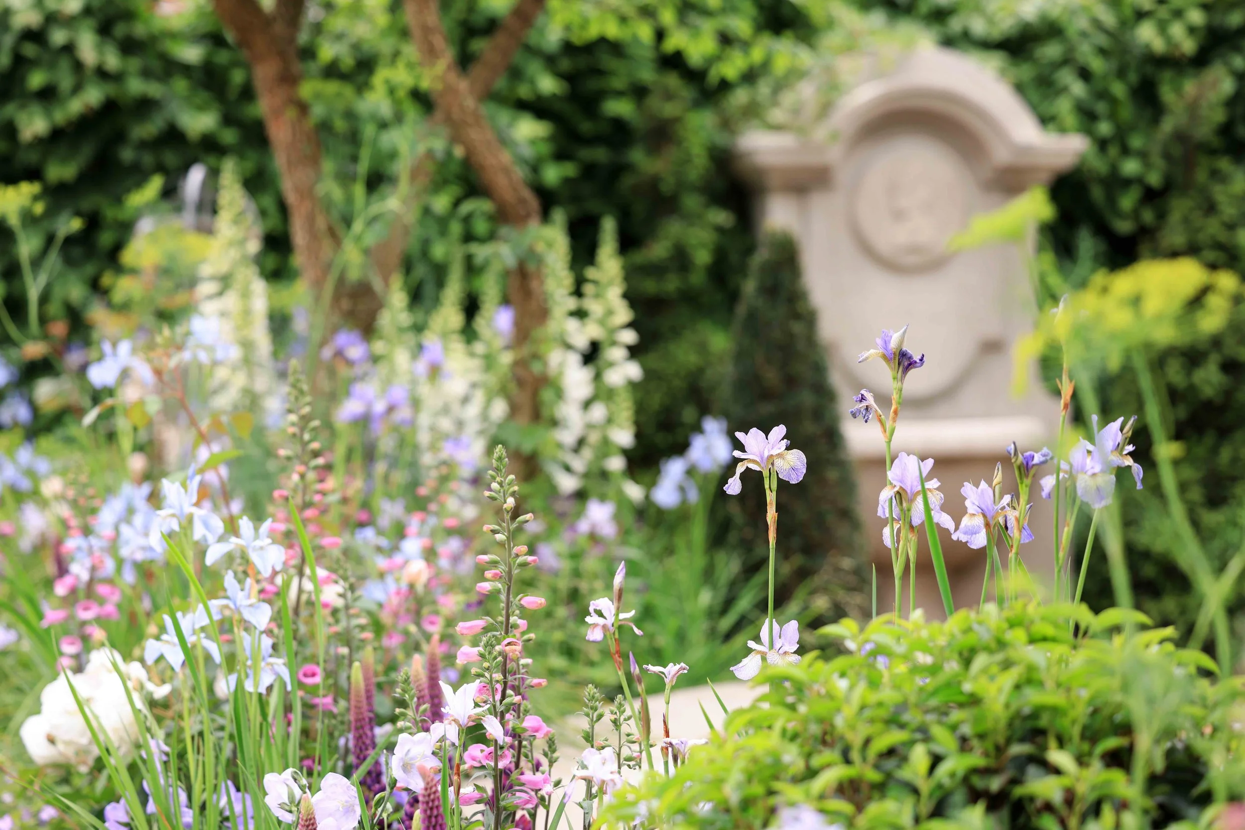 Bridgerton Garden 'full bloom' planting.