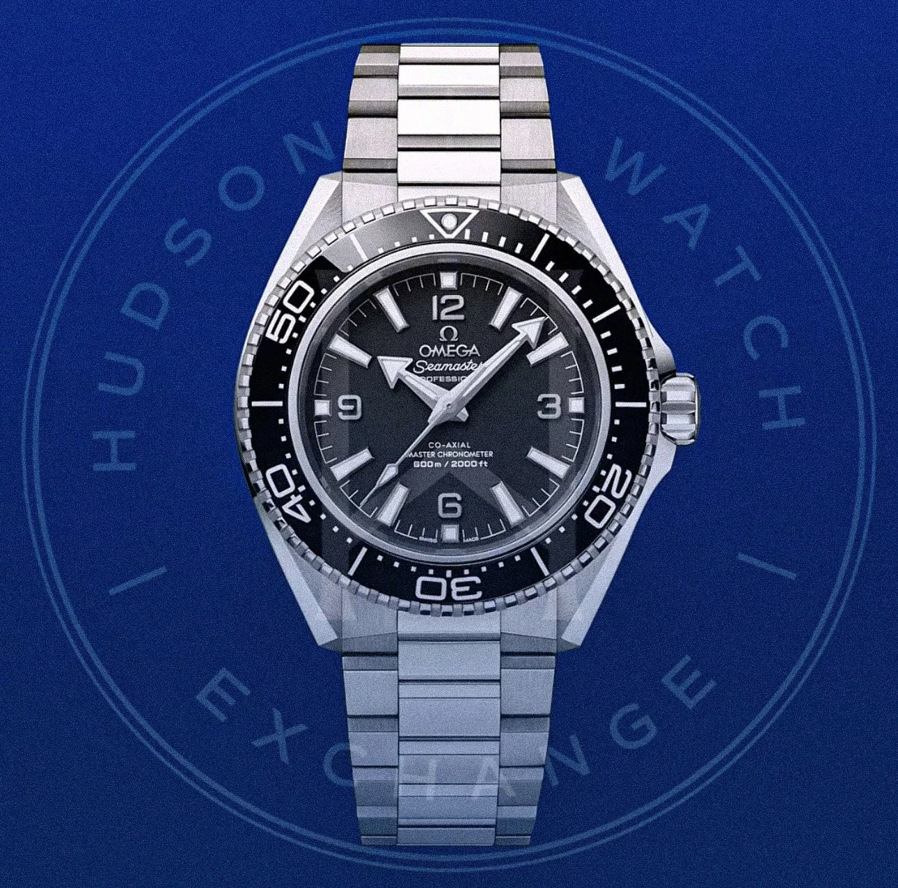 SEAMASTER PLANET OCEAN 600M 42 mm, Ref 217.30.42.21.01.001
