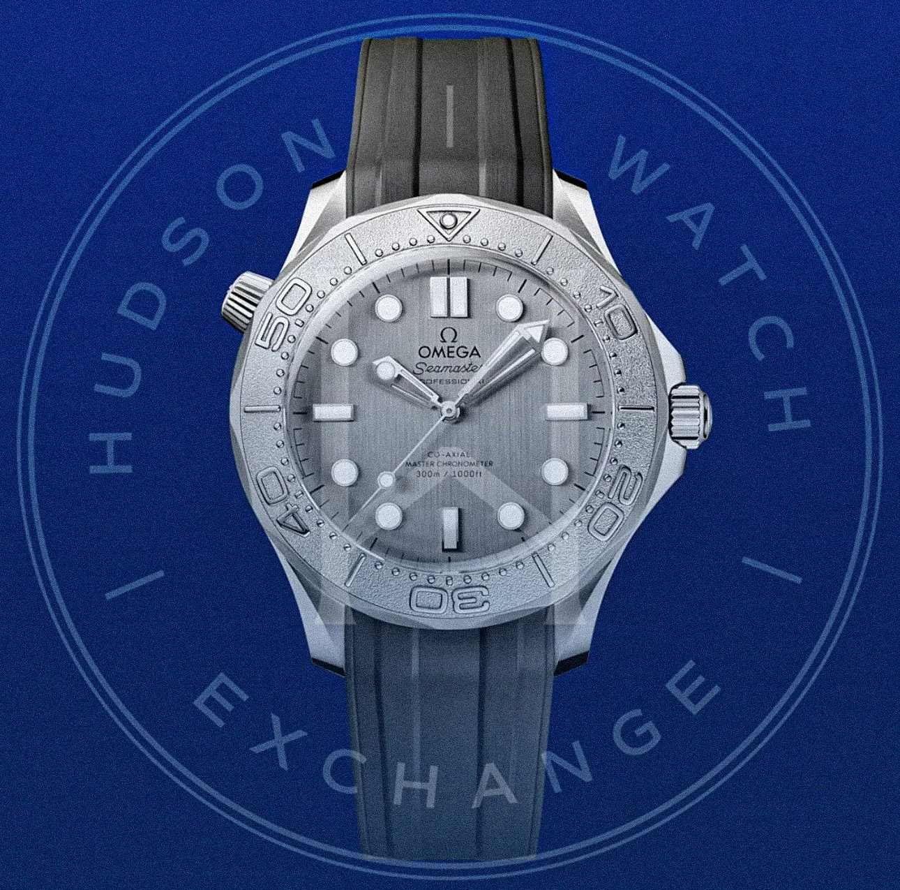 SEAMASTER DIVER 300M 42 mm, Ref 210.32.42.20.06.002