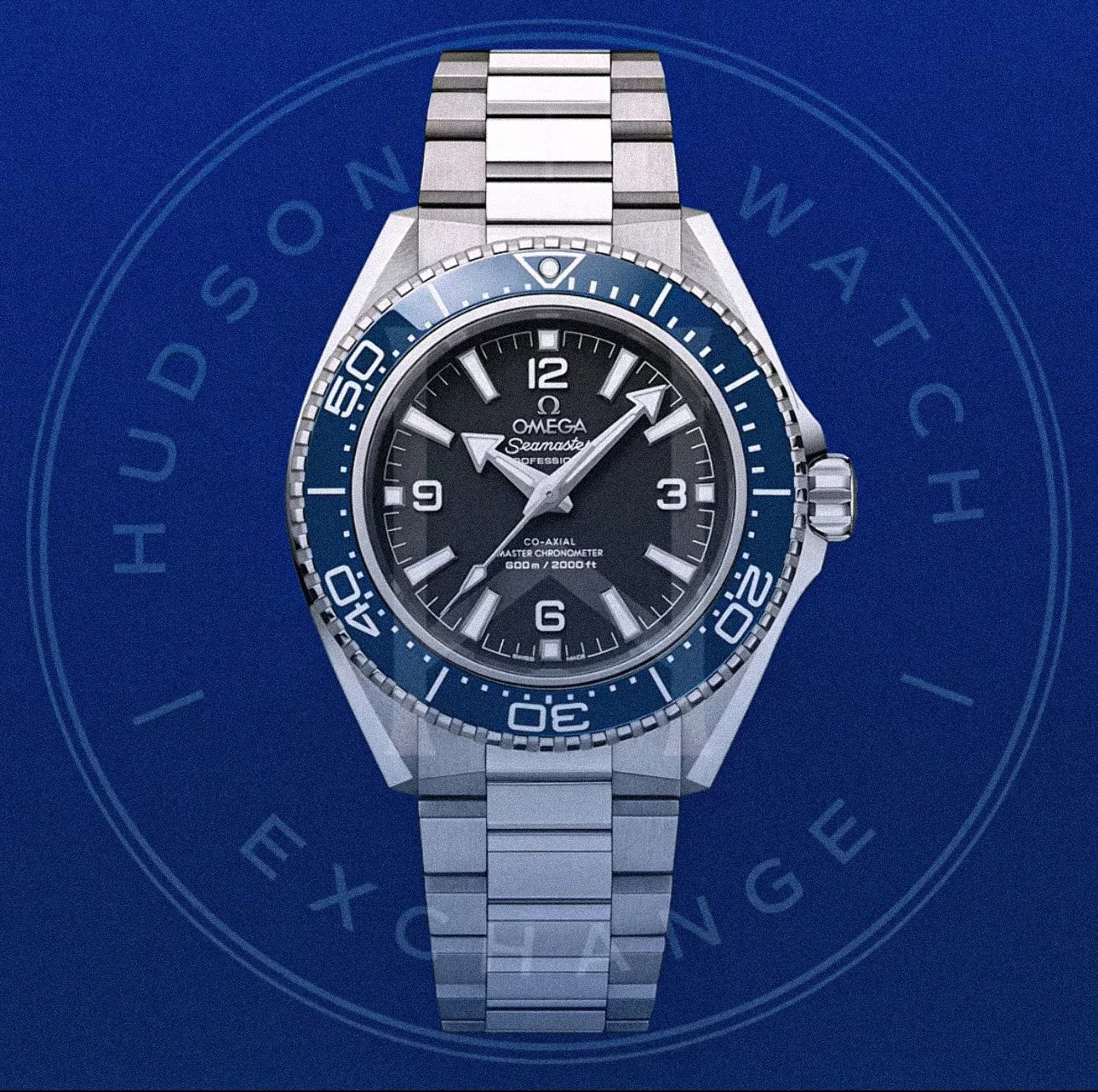 SEAMASTER PLANET OCEAN 600M 42 mm, Ref 217.30.42.21.01.002