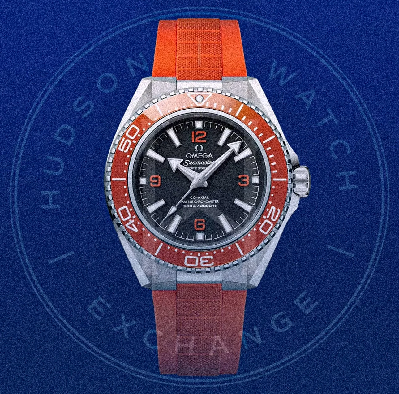 SEAMASTER PLANET OCEAN 600M 42 mm, 217.32.42.21.01.003