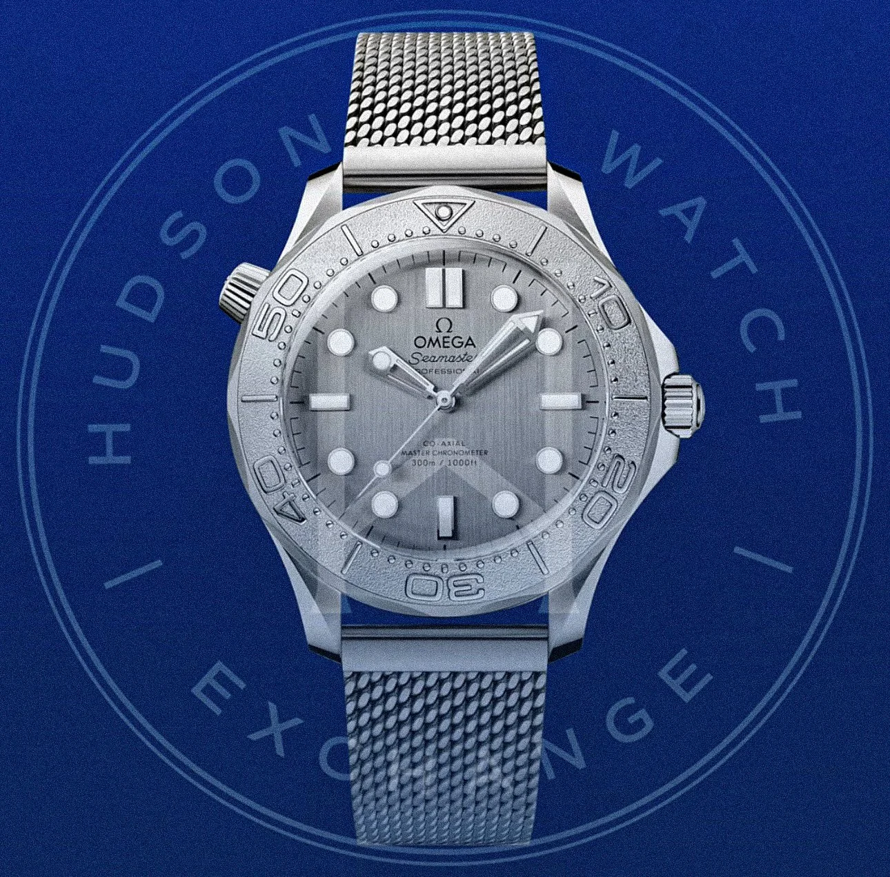 SEAMASTER DIVER 300M 42 mm, Ref 210.30.42.20.06.002