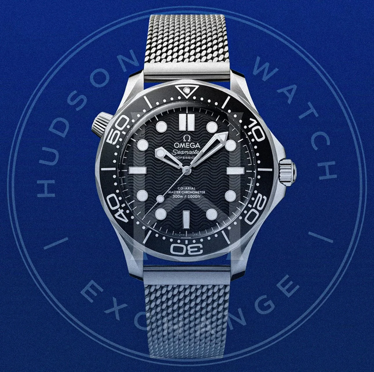 SEAMASTER DIVER 300M 42 mm, Ref 210.30.42.20.01.010