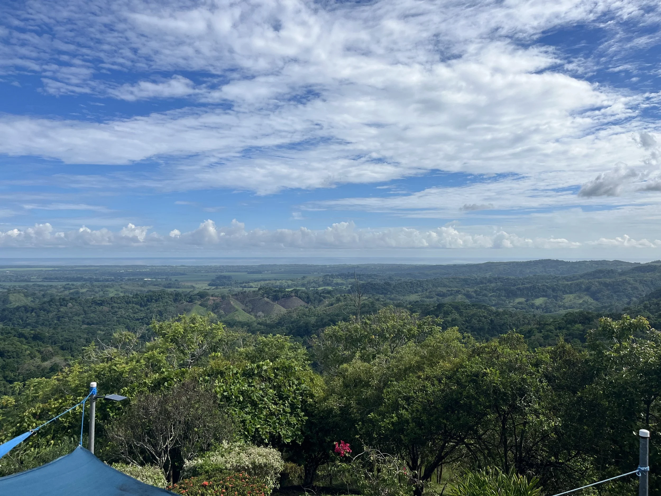 IMG_2155.jpeg