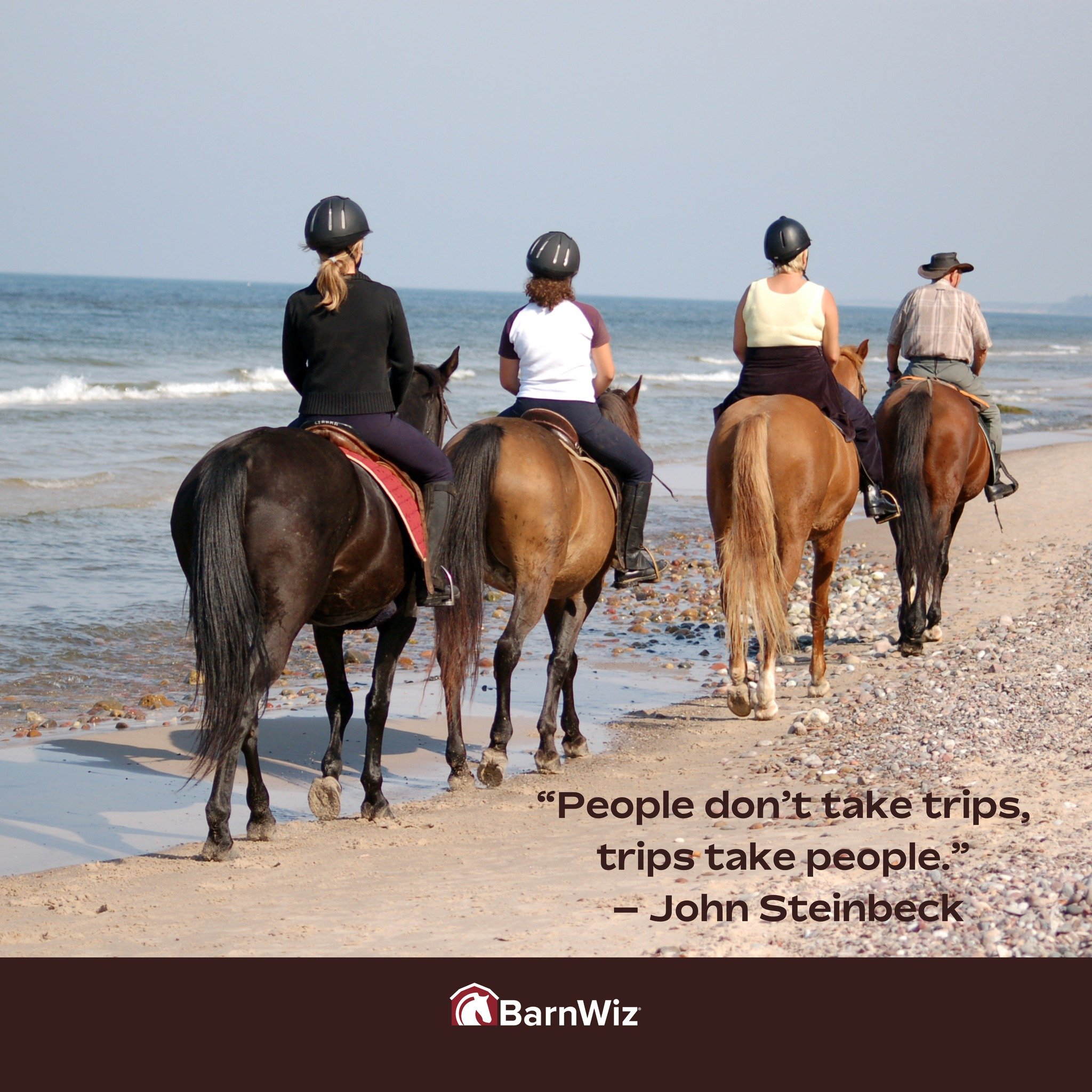 Have a great weekend! 

#barnwiz #equestrian #ridingholiday #travel #beachride #horses