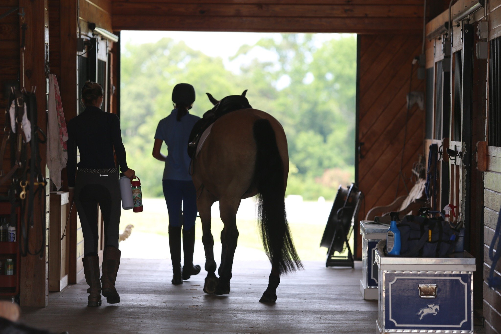 As an Adult Amateur equestrian, you likely have a lot on your plate: a job, family, and other obligations. You want to ride, and you&rsquo;re interested in quality instruction, but you don&rsquo;t have tons of time to spend &ldquo;shopping around&rdq