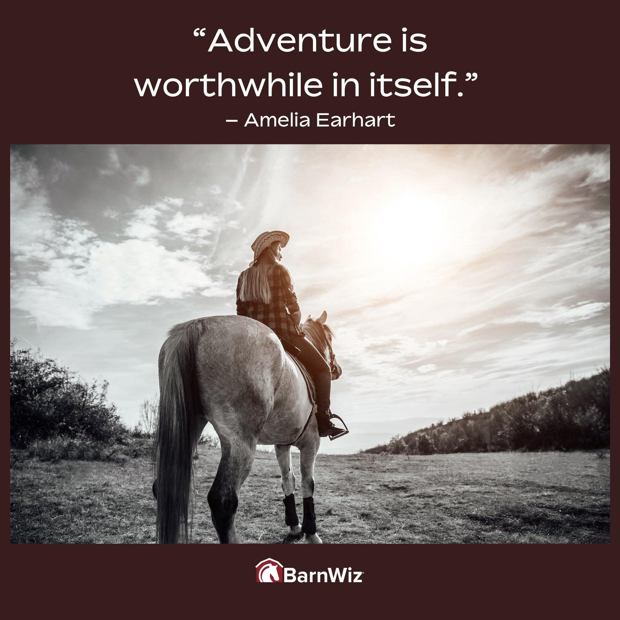 It's finally Friday! What are your plans for the upcoming weekend?

#barnwiz #adventure #horses #equestrian #horselife