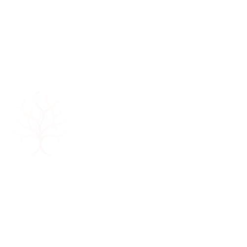 North Toronto Surgical