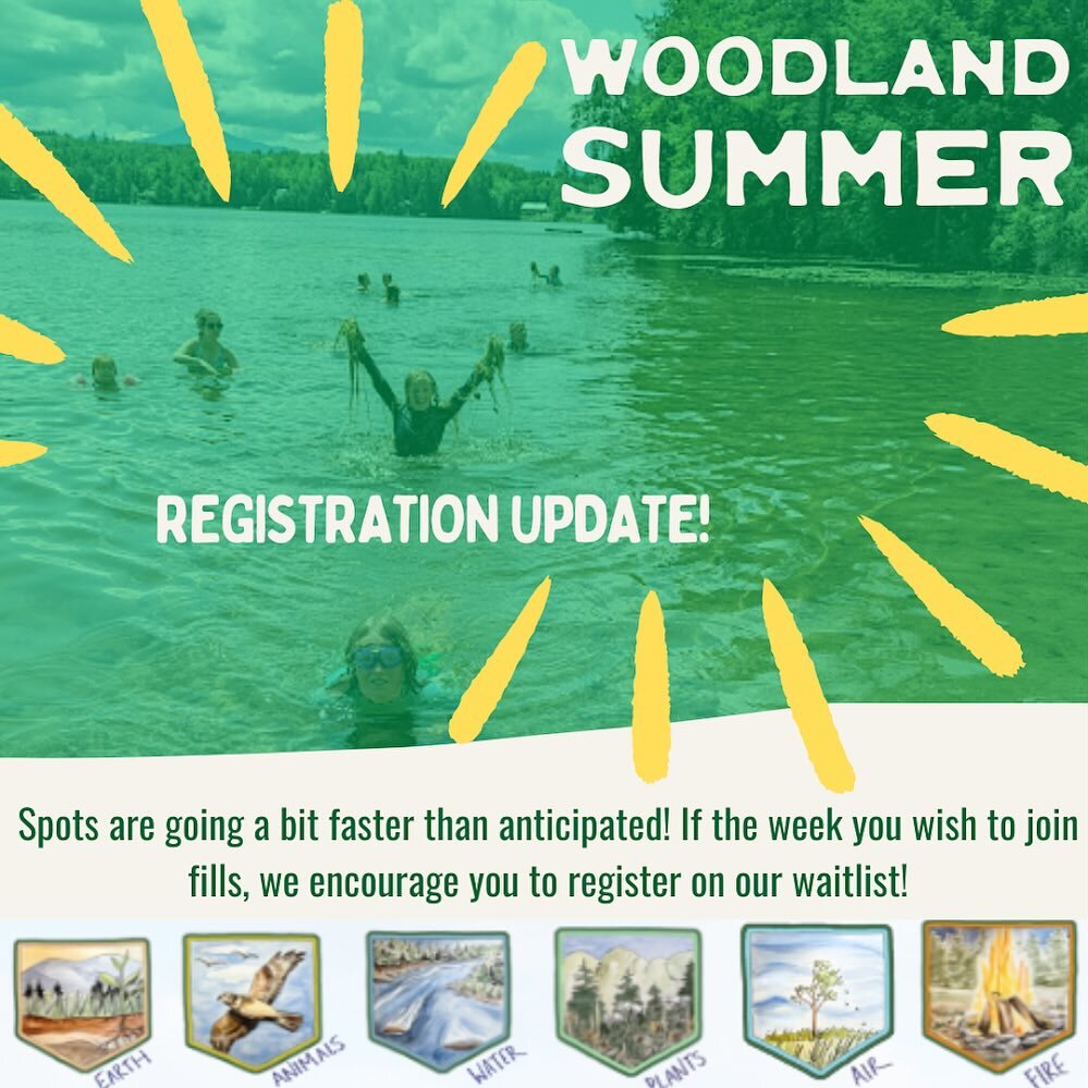 Spots for Woodland Summer are filling up faster than anticipated! We are so excited for more nature based fun this upcoming season - as we explore the themes of fire, earth, animals, air, water and plants. Here is a breakdown of spaces still availabl