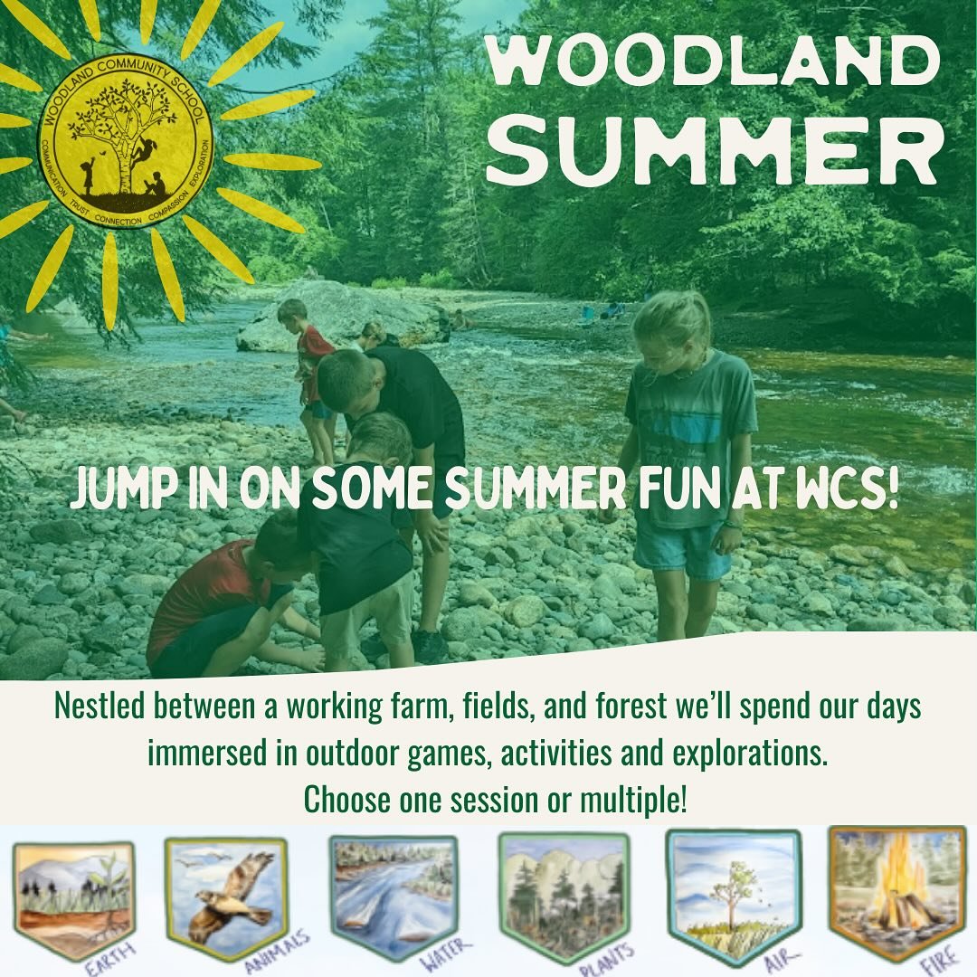 Jump in on some summer fun at Woodland! We&rsquo;re exploring the themes of fire, earth, air, animals, water and plants - through art, outdoor activities and explorations, play, story telling, science, music, and more! Learn more about Woodland Summe