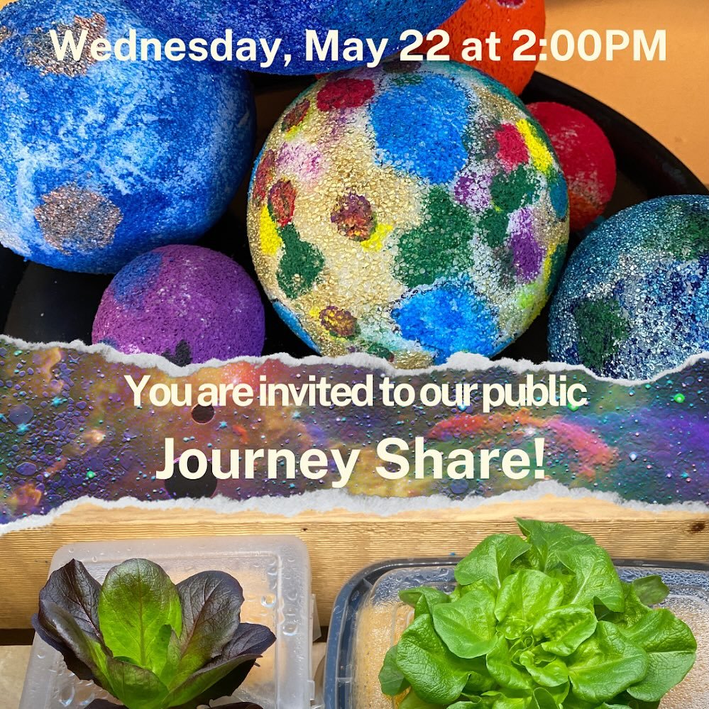 Come on over and check out what Woodland students have been up to during our UNIVERSE themed project! From new inventions, rover builds, and solar system models there will be much to explore and peak curiosity. Our next public Journey of Discovery Sh