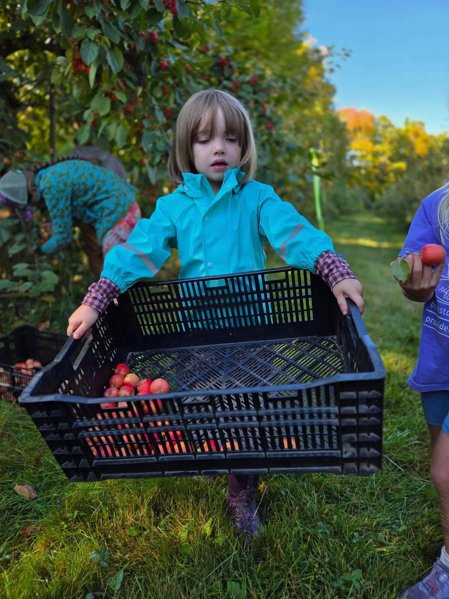 What a fruitful start to the week! 😉🍎🍁 We can&rsquo;t wait to turn these beauties into cider and at our annual Cider Press Potluck event! @tellmanhillfarm 
#applepicking🍎 
#experientialeducation #nhharvest #outdoorkidsarehappykids #whitemountains