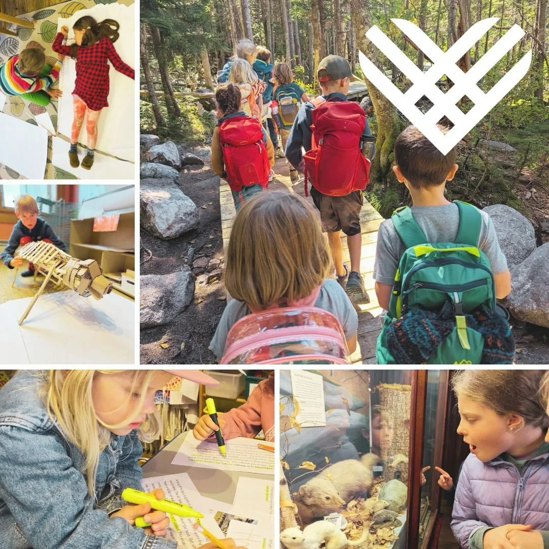 At Woodland, students grow in an environment that honors who they are. Curiosity is abound, questions are encouraged, and learning is authentic &amp; connected to the world around them.

Here in the White Mountains of New Hampshire, Woodland is more 